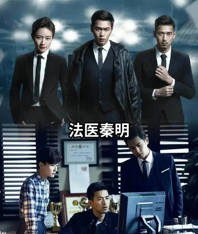 法医秦明最新电视剧，深度剖析与探讨